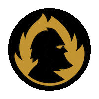 Bbqkingdom Sticker by burnhardgrills