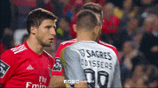 sl benfica hug GIF by Sport Lisboa e Benfica