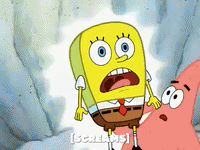 season 6 GIF by SpongeBob SquarePants