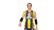 fbvoleybol volleyball fenerbahce fbvoleybol sarimelekler Sticker