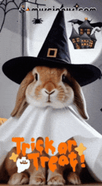 Happy Halloween GIF by Murcianys LLC