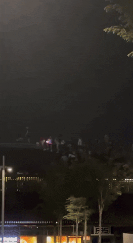 yj_jane giphyupload GIF