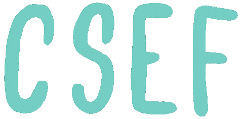 csef giphyupload skateboard skateboarding csef Sticker