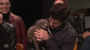 snl puppy GIF by Saturday Night Live