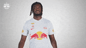 Football Sport GIF by FC Red Bull Salzburg