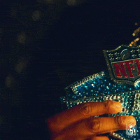 National Football League GIF by NFL