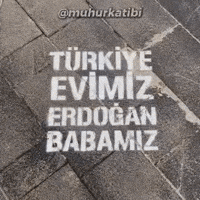 Rte Recep GIF
