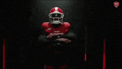 Football Dc GIF by XFL