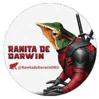 Dead Pool Sticker by Ranita de Darwin ONG