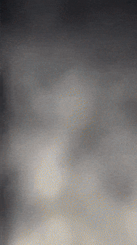 Halloween Ruby GIF by Youtooz