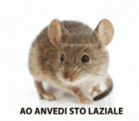 Francesco Totti GIF