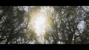 Beauty Sun GIF by LA Fashion Festival