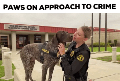 SBCountyDA giphygifmaker paws dogs police protect serve community da GIF