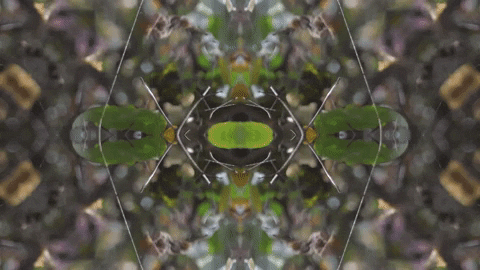 Art Love GIF by jorgemariozuleta