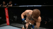 ufc 205 GIF