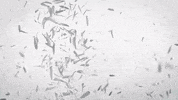 Best Friend Animation GIF by Ultra Records