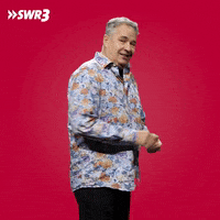 Party Ok GIF by SWR3