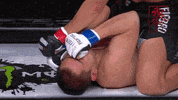 GIF by Legend FC