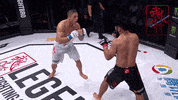 GIF by Legend FC