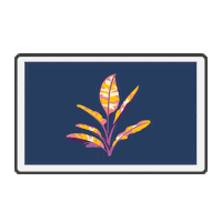 Planta Cuadro Sticker by MoolMX