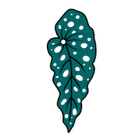 andreacataro plants leaf leaves plantlady Sticker