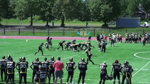 firstandgoalru giphyupload GIF