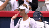 Samsonova GIF