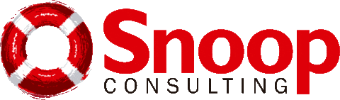 Sticker by Snoop Consulting