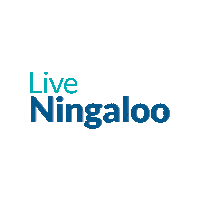 LiveNingaloo western australia humpback whale exmouth ningaloo Sticker
