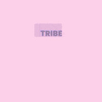 Excited Colors GIF