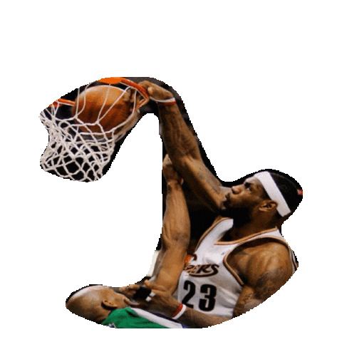 lebron james STICKER by imoji