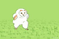 Owl 鳥 GIF by wakuta