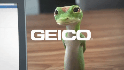 Blink GIF by GEICO