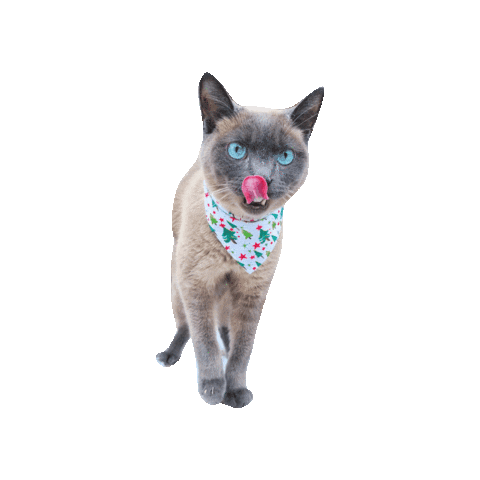 Tongue Out Tot Sticker by Geekster Pets