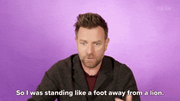 A Foot Away From a Lion