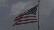United States America GIF by DIIMSA Stock