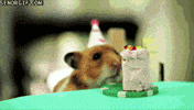 Birthday Party GIF