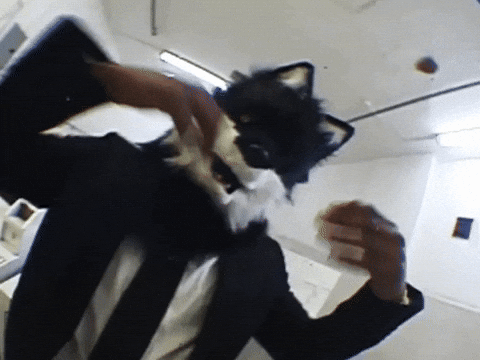Wolf Bass GIF by IDK