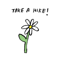 flowers leave Sticker by Aerie