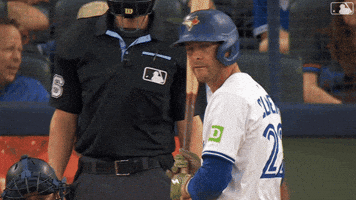 Blue Jays Baseball GIF by Toronto Blue Jays