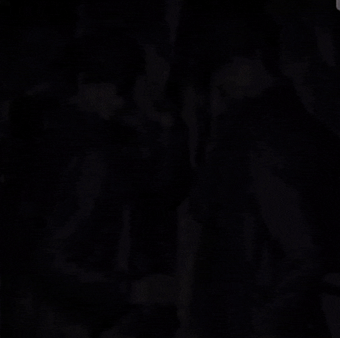 Global Examination GIF