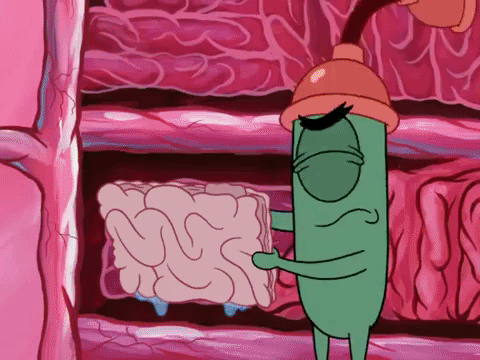 season 7 episode 3 GIF by SpongeBob SquarePants