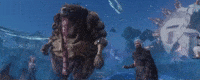 Hello GIF