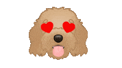 Love It Heart Eyes Sticker by zoopeez