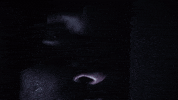 sasquatch GIF by Ice Cube