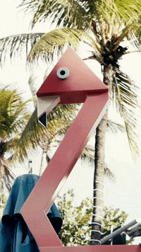 Clevelander miami mia flamingo 305 GIF