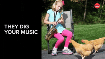 Why Animals Make The Best Friends