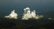 2009 GIF by Jaime Martinez