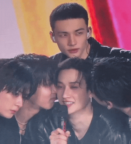 Stray Kids Skz GIF
