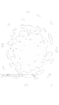Animation Flowing Sticker by youmotion.com